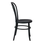 Polypropylene Brigitte Chair with Timber Grain - Image 2